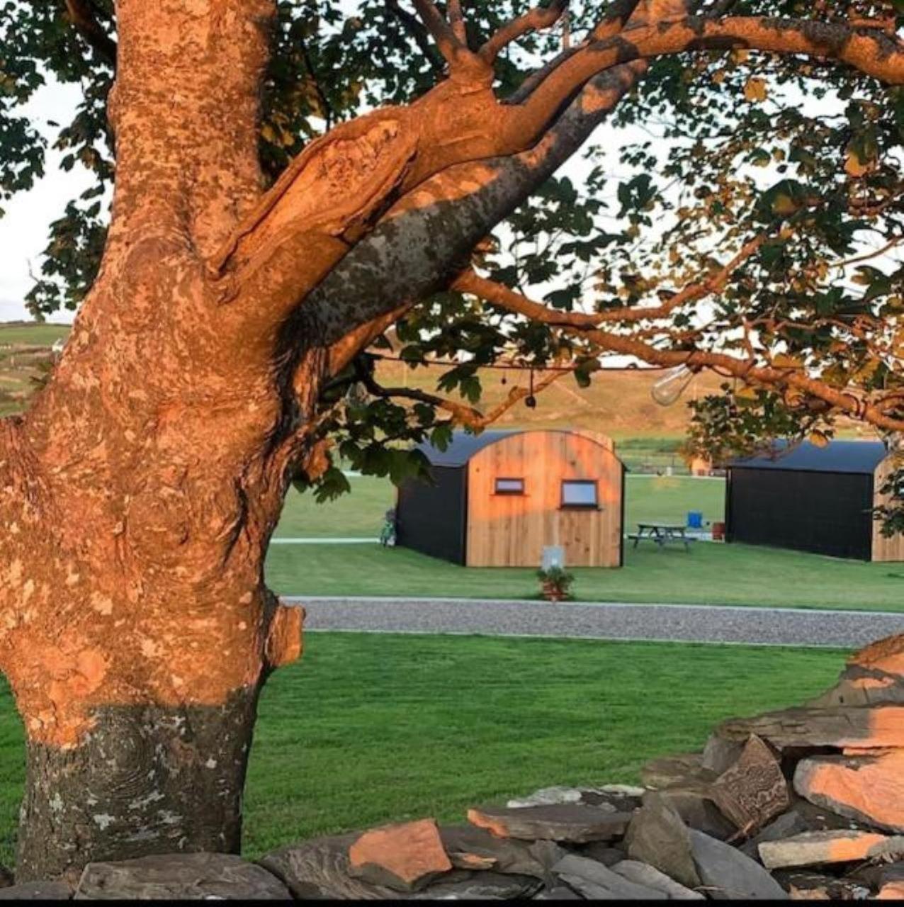 Castledarcy Glamping Apartment Lahinch Ngoại thất bức ảnh